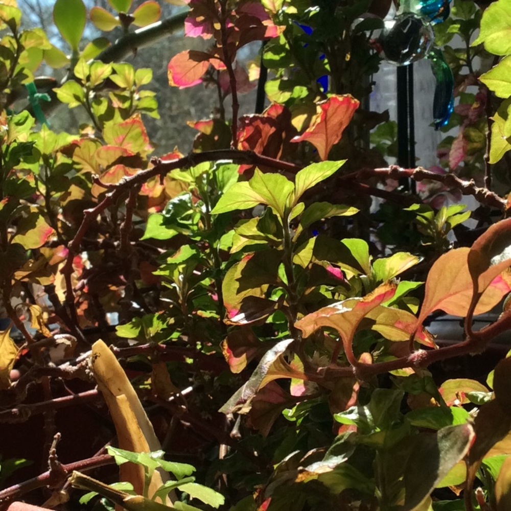 Meet your Posher, Eileen